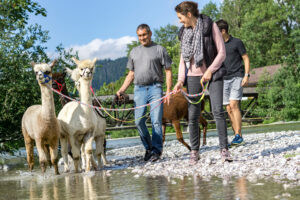 Alpaka Wanderung Alpakahof Tegernsee