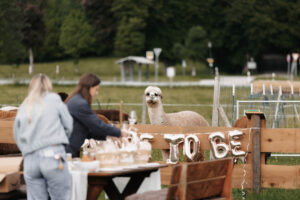 JGA mit Alpakas am Tegernsee