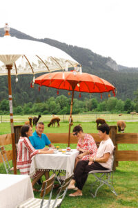 Alpaka Café Tegernsee Alpakahof Tegernsee Oberhof zum Hausmann