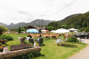 Alpaka Café Tegernsee zum Hausmann Oberhof