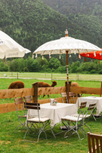Alpaka Café am Tegernsee Alpakahof Tegernsee