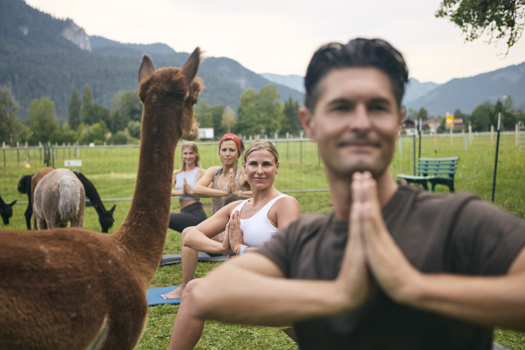 Alpaka Yoga Tegernsee Alpakahof Tegernsee