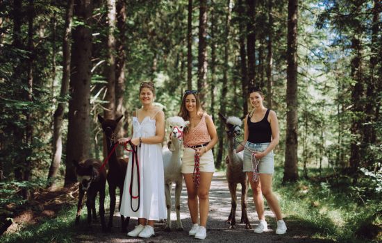 Alpaka Wanderung Alpakahof Tegernsee