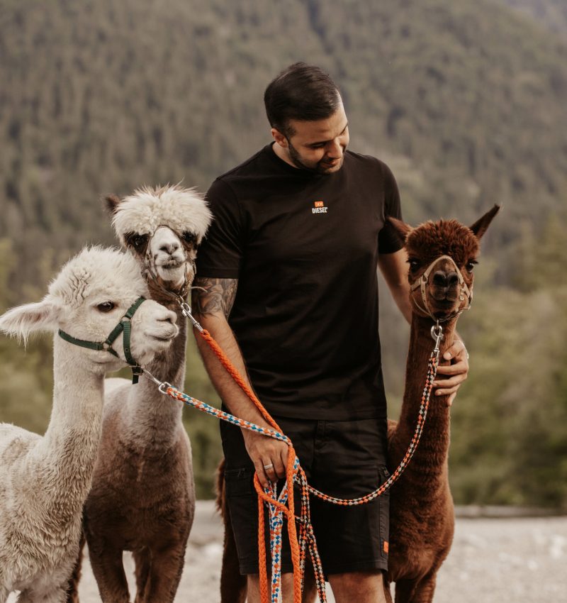 Alpaka Wanderung Alpakahof Tegernsee